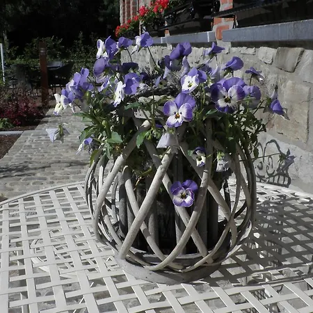 Holiday Brandthuberren Appartement Amel